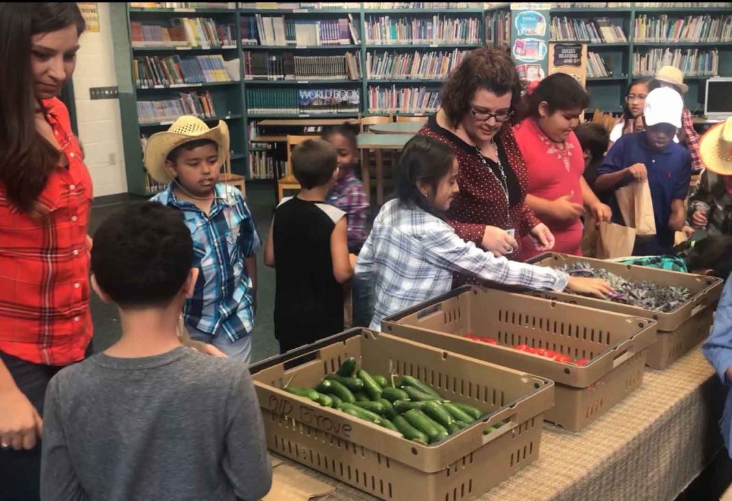 Curtis Elementary hosts first student Farmers Market Inland Empire