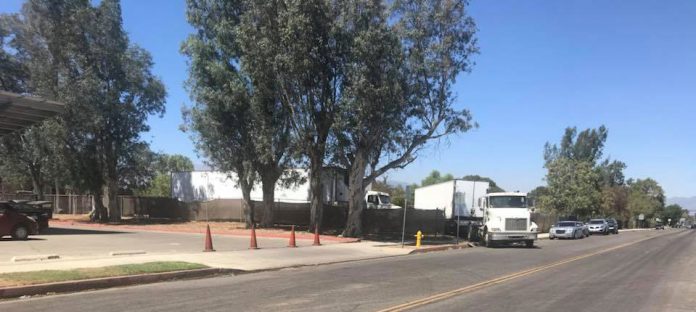 Illegal-truck-yard