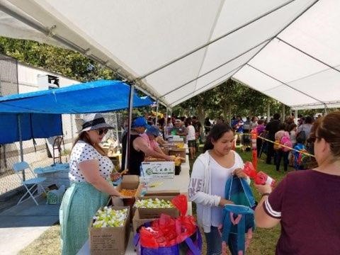 Olive Branch Markets