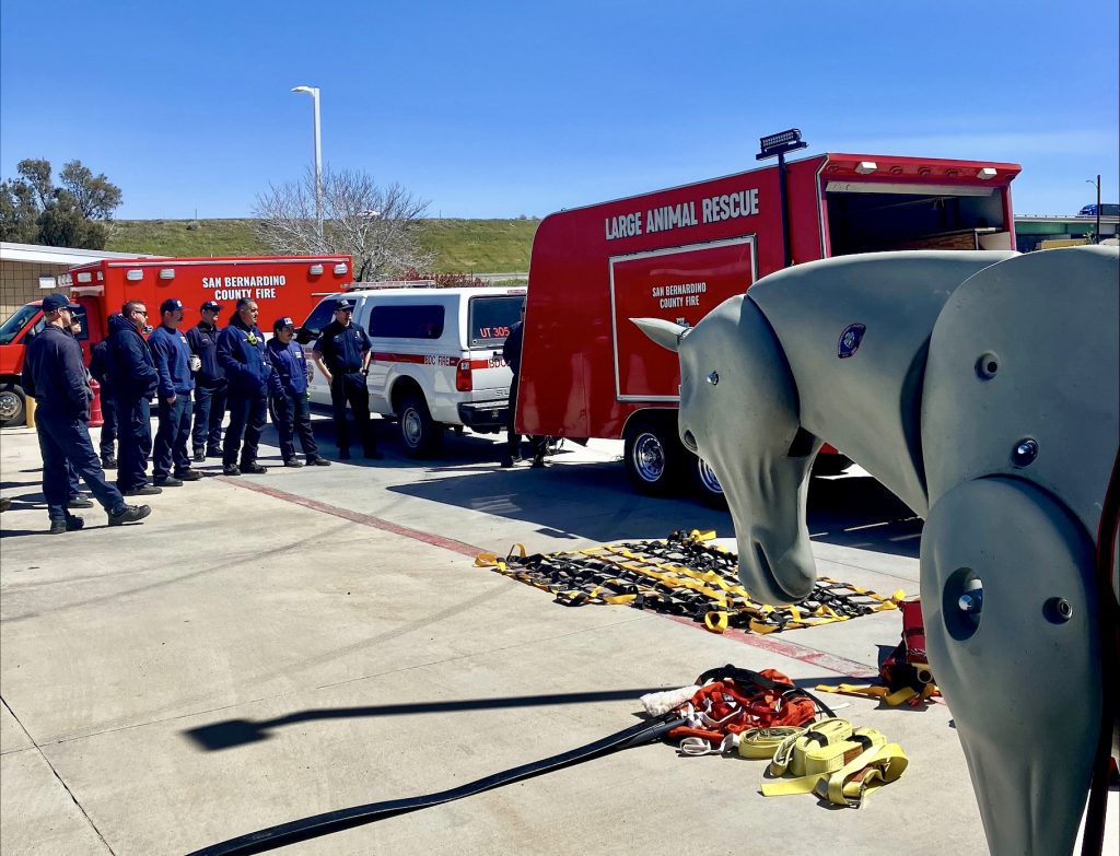 A fire department learning how to save animals